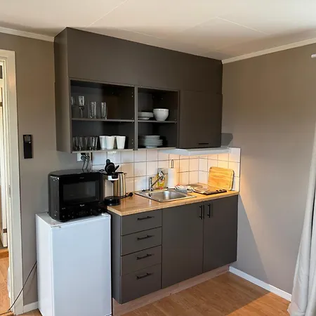 Sentralt I Fredrikstad, Gratis Parkering Og Varmepumpe Med Ac Φρέντρικσταντ